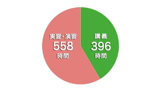 1年次円グラフ